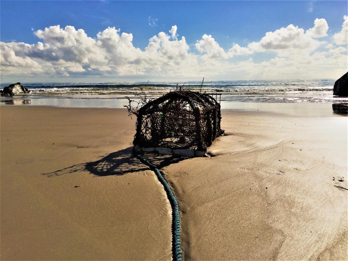St Awaries Studio, Carne Rosslare Harbour Exteriér fotografie